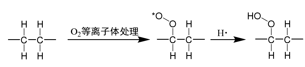 微信圖片_20240320162224.png