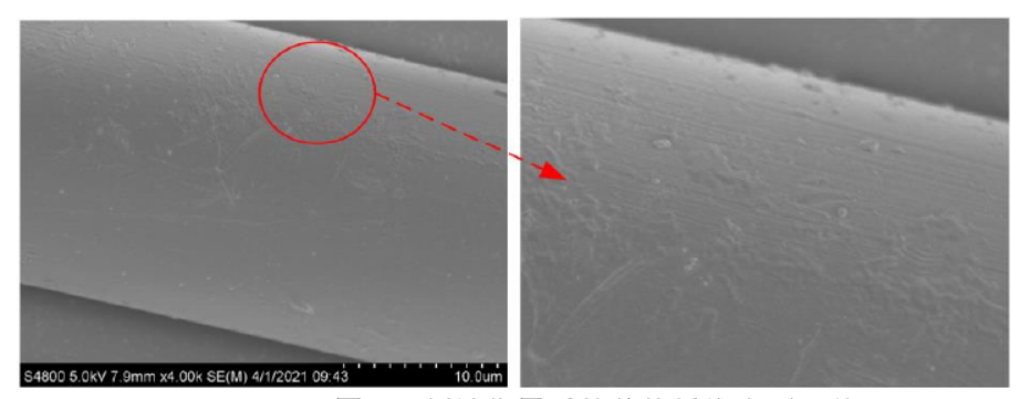 等離子刻蝕作用后的芳綸纖維表面形貌