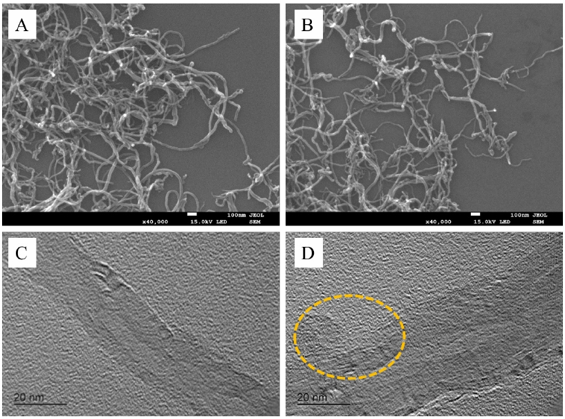 碳納米管在N2/CO2等離子體處理10分鐘前后的微觀形貌