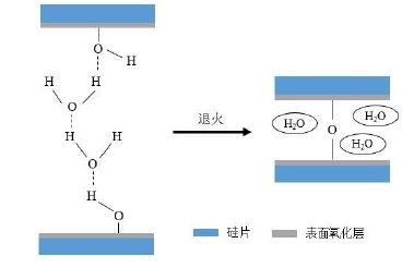 硅基晶圓親水性表面活化鍵合機理